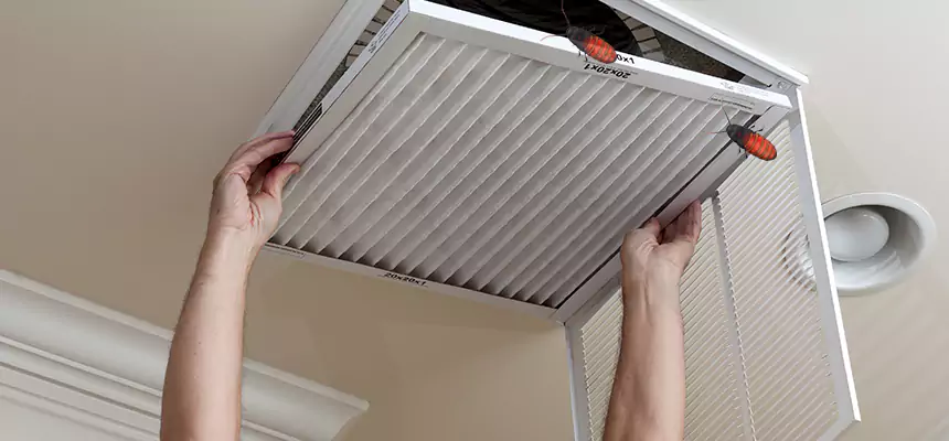 Preventive Cockroach-Proofing for Ducts in San Marcos