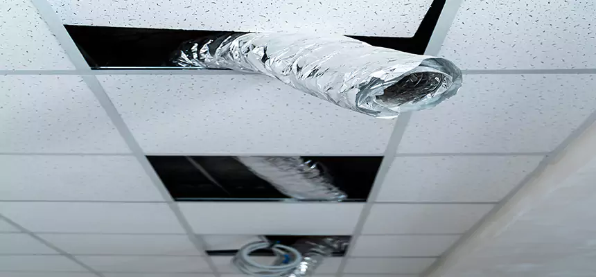 Our Air Duct Pet Hair Removal Services in San Marcos, CA