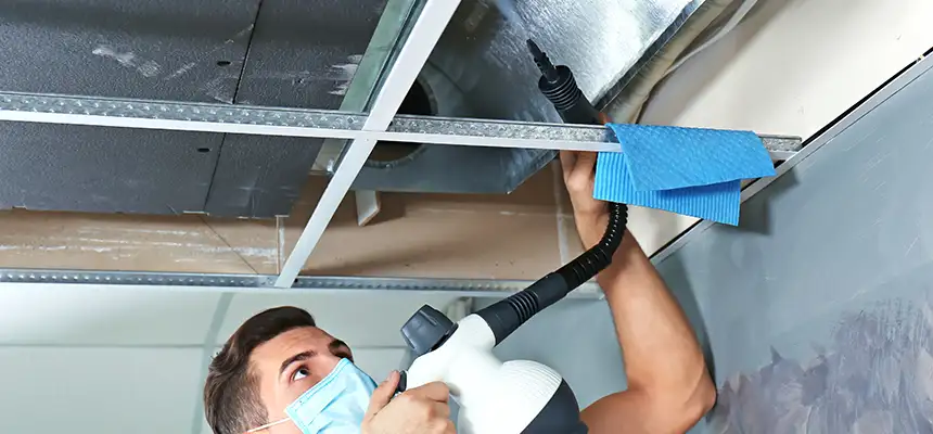 Our Air Duct Rodent Removal Services in San Marcos, CA