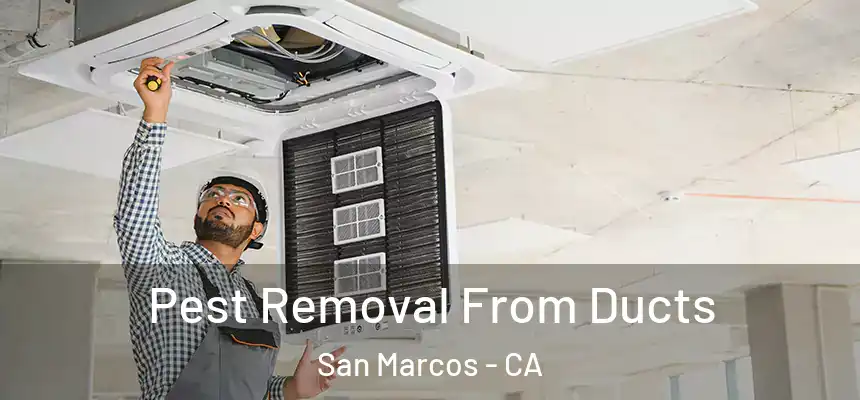Pest Removal From Ducts San Marcos - CA