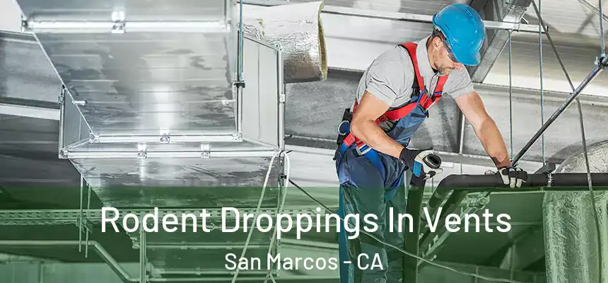 Rodent Droppings In Vents San Marcos - CA