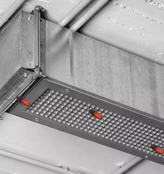 About Air Duct Cockroach Removal in San Marcos, CA