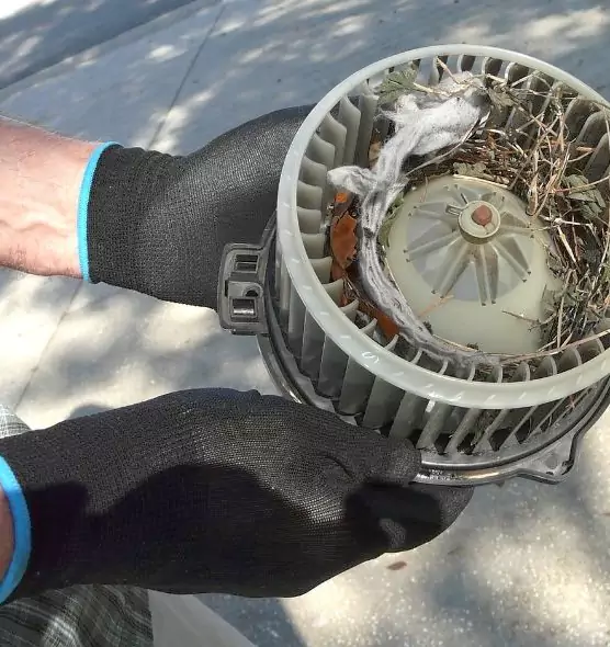 About Air Duct Rat Removal in San Marcos, CA