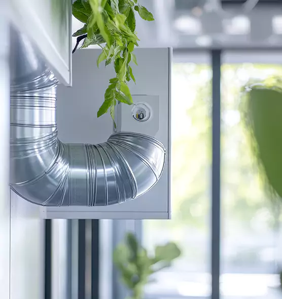 Professional Eco-Friendly Duct Cleaning Services in San Marcos, CA