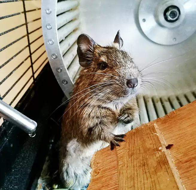 Why Homeowners & Businesses Trust Us San Marcos, CA?