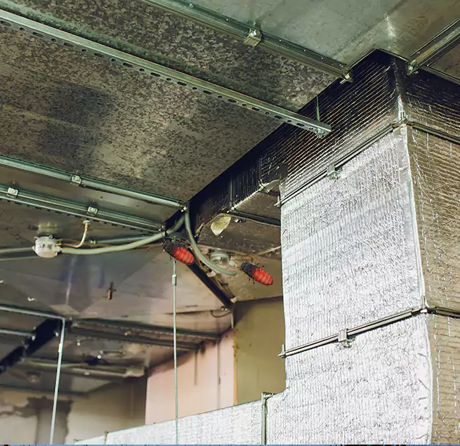 Why Homeowners & Businesses Trust Us San Marcos, CA?