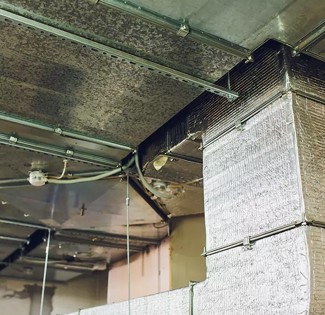 Why Homeowners & Businesses Trust Us in San Marcos, CA?